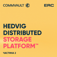 What is the Hedvig Distributed Storage Platform?