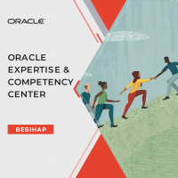 “Orecle Expertise & Competency Center” webinar